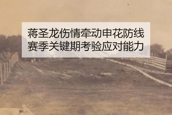 jiang-sheng-long-shang-qing-qian-dong-shen-hua-fang-xian-sai-ji-guan-jian-qi-kao-yan-ying-dui-neng-li-2-418.jpg