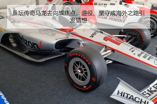 乒坛传奇马龙去向成焦点，退役、坚守或海外之路引发猜想 - ayx